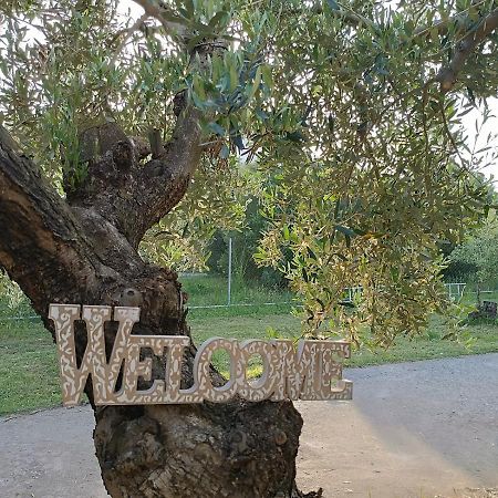 The Secret Olive House Villa Nea Michaniona Exteriör bild