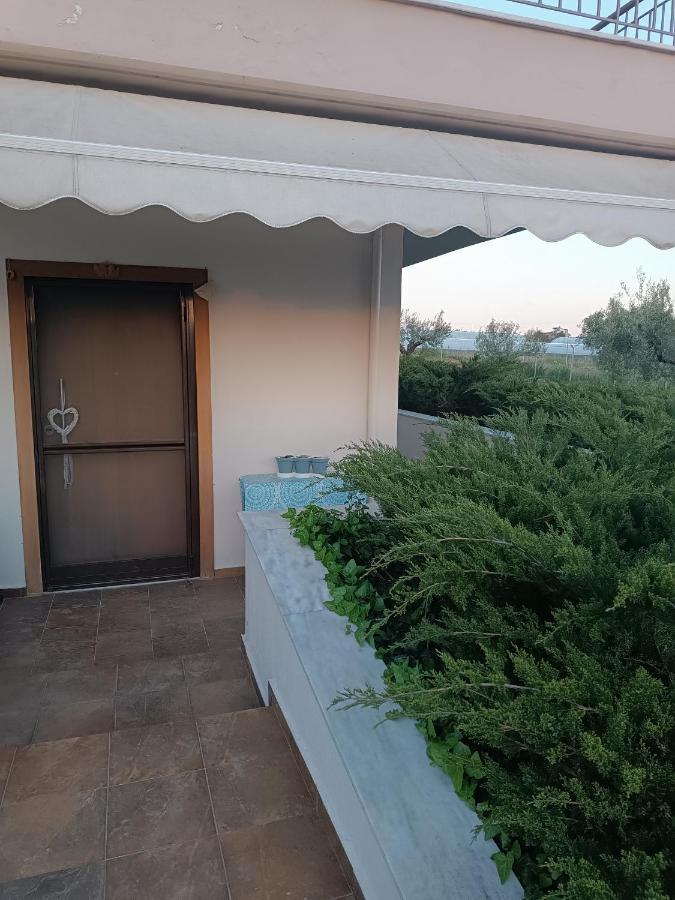 The Secret Olive House Villa Nea Michaniona Exteriör bild