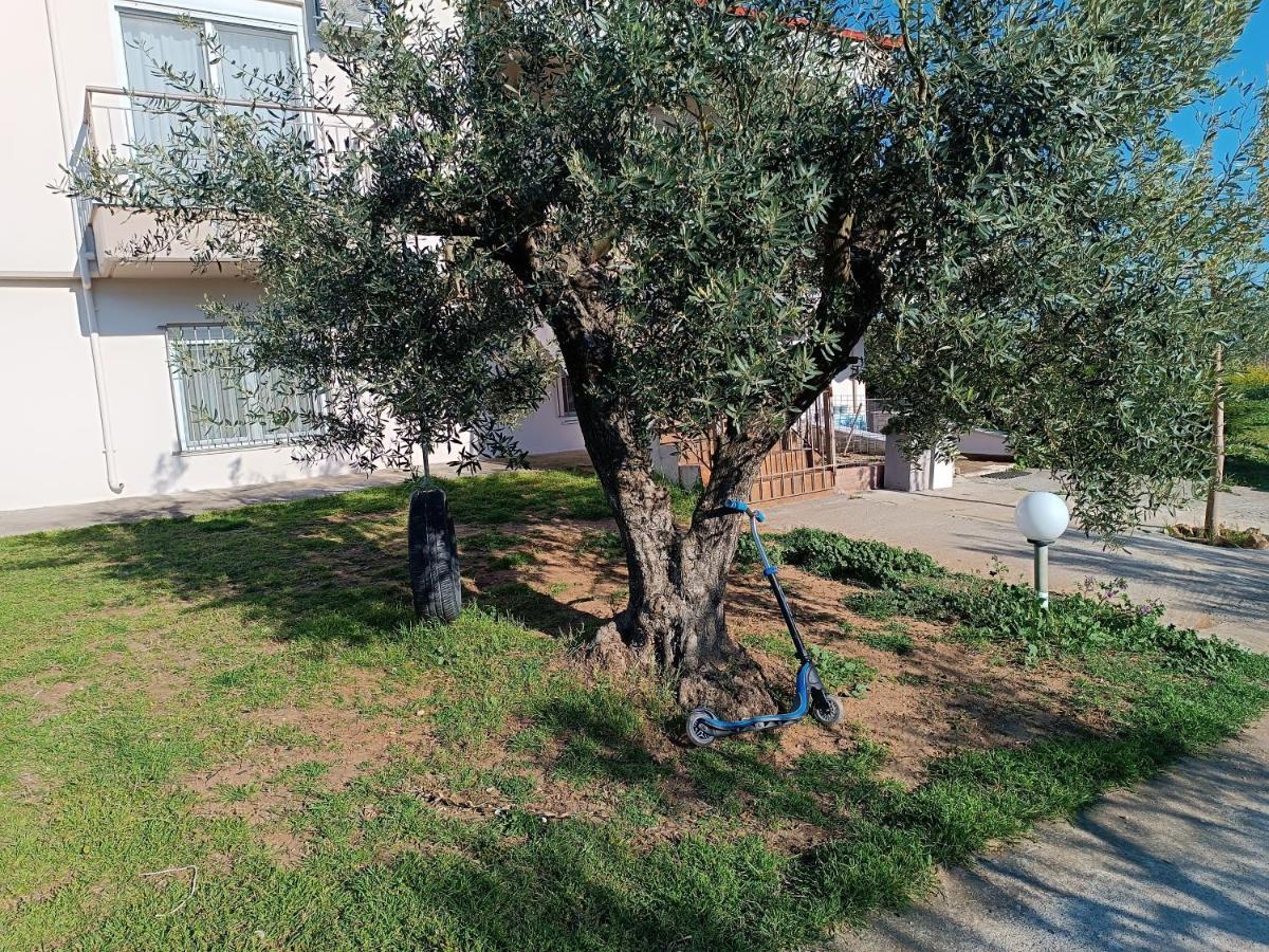 The Secret Olive House Villa Nea Michaniona Exteriör bild